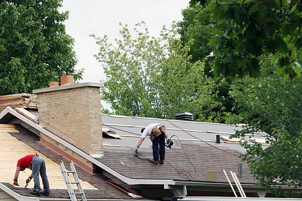 Best Roof Gutter Cleaning  in Sanford, ME